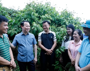 Vải thiều Bắc Giang được mùa, bộ trưởng đề nghị tổ chức tiêu thụ linh hoạt