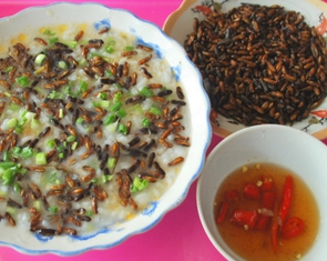 Mối cánh rừng Trường Sơn: Món đại ngàn ngon nức nở