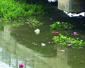 Tối đèn sáng rác "giữa đường phố hoa đèn"