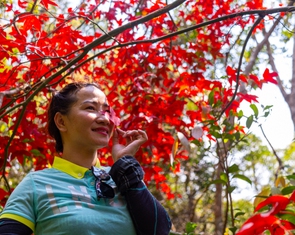 Sắp có tour ngắm đào chuông, rừng rêu ma mị trên 'nóc nhà' Quảng Trị