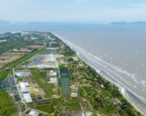 Nhiều chính sách được đề xuất để thể chế hóa nghị quyết 68 mở rộng cho tư nhân làm đường sắt