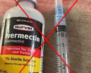 Thông tin ivermectin chữa 'bách bệnh' kể cả COVID-19 và ung thư là sai sự thật
