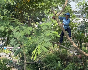 Phát quang, nạo vét tuyến kênh Tân Trụ và Hy Vọng