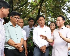 Xây dựng thương hiệu quốc gia cho sầu riêng: Kiểm soát tại vườn, kiểm nghiệm tại chỗ