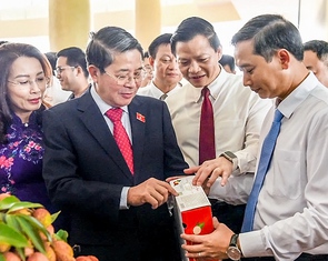 Đề nghị tạo 'luồng xanh' cho vải thiều Bắc Giang vào Trung Quốc