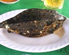 Bè ở Nha Trang bán 1kg cá bò hòm 3,5 triệu đồng, du khách choáng váng
