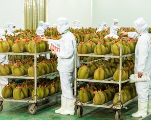 Thủ tướng chỉ đạo 5 bộ khắc phục tình trạng nông sản được mùa mất giá