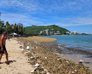 Lớp lớp rác thải nhựa theo lục bình dạt vào biển Vũng Tàu