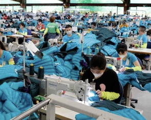 AmCham thúc giục Mỹ giảm thuế quan cho Việt Nam