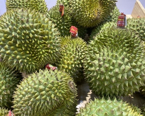 Được đề nghị công bố kết quả kiểm tra phân DAP Hàn Quốc, Cục Trồng trọt và Bảo vệ thực vật nói gì?