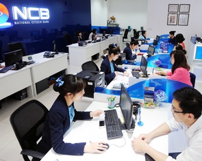 Lộ diện 17 cá nhân chi 7.500 tỉ đồng mua 750 triệu cổ phiếu Ngân hàng Quốc Dân
