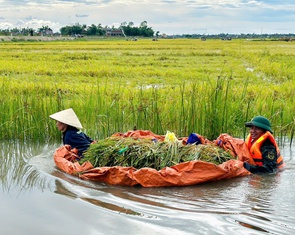 Bộ đội, người dân Huế oằn mình khắc phục mưa lũ