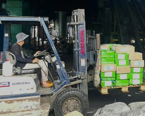 Đồng Nai tiêu hủy hơn 30 tấn vú heo, dồi trường heo, sụn gà bẩn