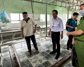 Heo nhiễm bệnh trong ảnh chụp tại cơ sở giết mổ thuê cho Công ty C.P ở Hậu Giang đã bị tiêu hủy