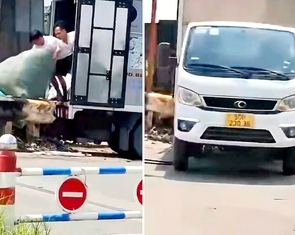 Xác minh xe tải đổ trộm rác thải gần cầu Sa, quận Bình Tân