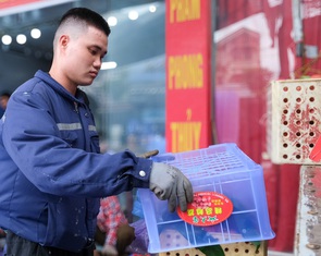 Lương thấp, 73% lao động độc thân ngại cưới, sinh con