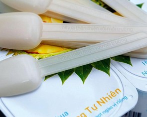 TH thúc đẩy tiêu dùng xanh với ‘Ngày không sử dụng túi ni lông’
