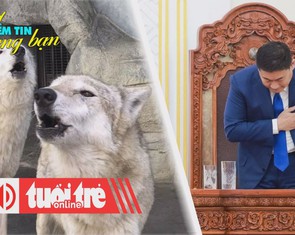 Điểm tin 8h: Nhật tính thả sói để khôi phục cân bằng sinh thái; Thủ tướng Mông Cổ từ chức
