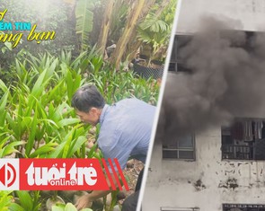 Điểm tin 18h: Giá dừa tăng cao kỷ lục; 2 vụ cháy chung cư liên tiếp ở Hà Nội