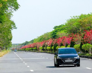 Hạn chế sử dụng bao ni lông tại huyện Cần Giờ, TP.HCM