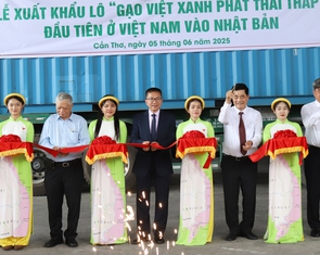 Xuất khẩu lô 500 tấn ‘gạo Việt Nam phát thải thấp’ đầu tiên sang Nhật Bản
