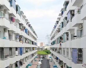 Cắt giảm, cải cách nhiều thủ tục hành chính trong xây dựng nhà ở xã hội