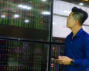 'Cá mập' đang bỏ lỡ cơ hội kiếm tiền từ thị trường chứng khoán?