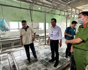 Vụ Công ty C.P. bị tố bán thịt heo bệnh: Hậu Giang nói không có dịch bệnh như phản ánh