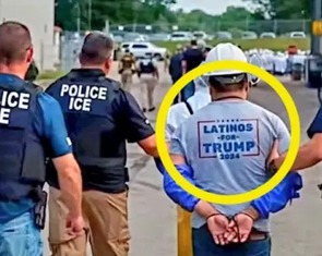 Thực hư bức ảnh một người nhập cư từng bầu cho ông Trump bị bắt
