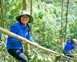 Hàng ngàn tình nguyện giúp dân chặt cây, dời nhà cho đường dây 500kV