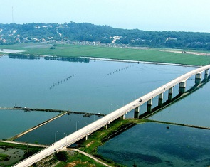 Huế: Điều tra vụ phá rừng phòng hộ ven biển bị chặt phá hơn 2,5ha