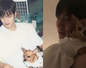 Lee Min Ho và tình yêu thương vô hạn dành cho chú cún vừa qua đời