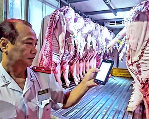 Tỉnh Phú Thọ: Chặn dịch tả heo châu Phi từ lò giết mổ