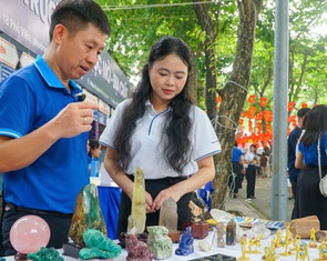 Mang đá quý đến Ngày hội lựa chọn nguyện vọng xét tuyển