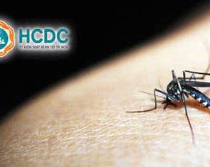 TP.HCM cảnh báo tăng ca mắc sốt xuất huyết bệnh nặng, đã có 10 ca tử vong