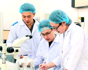 Đề xuất tuyển tổng công trình sư được chế độ lương, nhà ở, đi lại như bộ trưởng