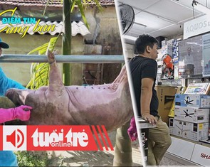 Điểm tin 18h: Dịch tả heo châu Phi lan mạnh; Đông Nam Á phát tiền để kích thích tiêu dùng