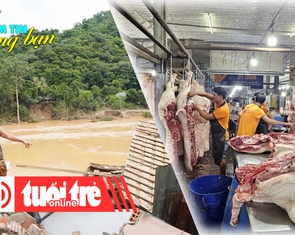 Điểm tin 8h: Dồn lực giúp bà con vùng lũ khắc phục thiệt hại; Thịt heo rớt giá vì dịch bệnh