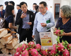 332 mẫu nông sản Lâm Đồng về chợ Bình Điền, chỉ 1 mẫu tồn dư thuốc bảo vệ thực vật