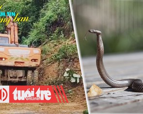 Điểm tin 18h: Mưa lớn trở lại làm quốc lộ 7 sạt lở; Bé 1 tuổi ở Ấn Độ cắn chết rắn hổ mang