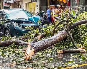 Nguyên nhân nào khiến thời tiết Nam Bộ xấu, biển Gia Lai đến TP.HCM dông gió?