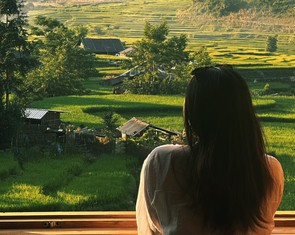 Khung cảnh 'tuyệt đối điện ảnh' mùa lúa xanh ở Sa Pa