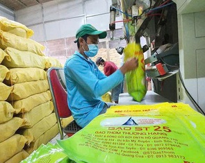 Lấy cám từ gạo ST25 làm mỹ phẩm