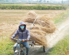 Thời tiết hôm nay 1-8: Bắc Bộ mưa chiều, Trung Bộ nắng nóng