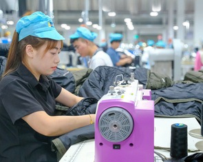Doanh nghiệp mới tăng kỷ lục, do đâu?