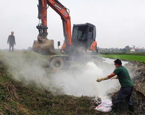 Gần 5.000 con heo mắc dịch tả chết, phải tiêu hủy