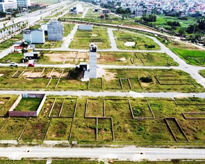 Tin tức sáng 21-12: Quy định mới về bảng giá đất; Côn Đảo sắp có tuyến buýt điện đầu tiên