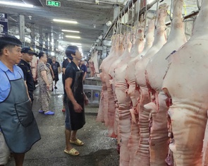 Giá thịt heo bình ổn giảm đến 10.000 đồng/kg