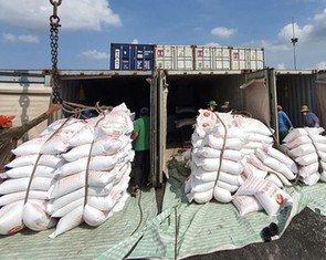 Philippines tạm ngưng nhập khẩu gạo: Doanh nghiệp cần lưu ý gì?