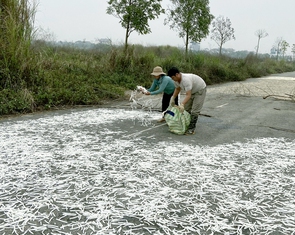 Sửa Luật Đất đai, khơi thông nguồn lực